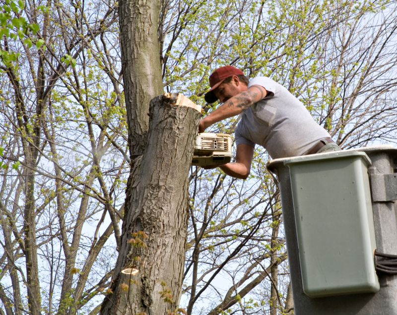 Tree Shearing